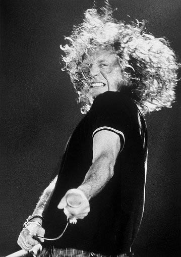 Robert Plant